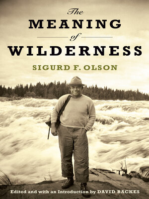 cover image of The Meaning of Wilderness